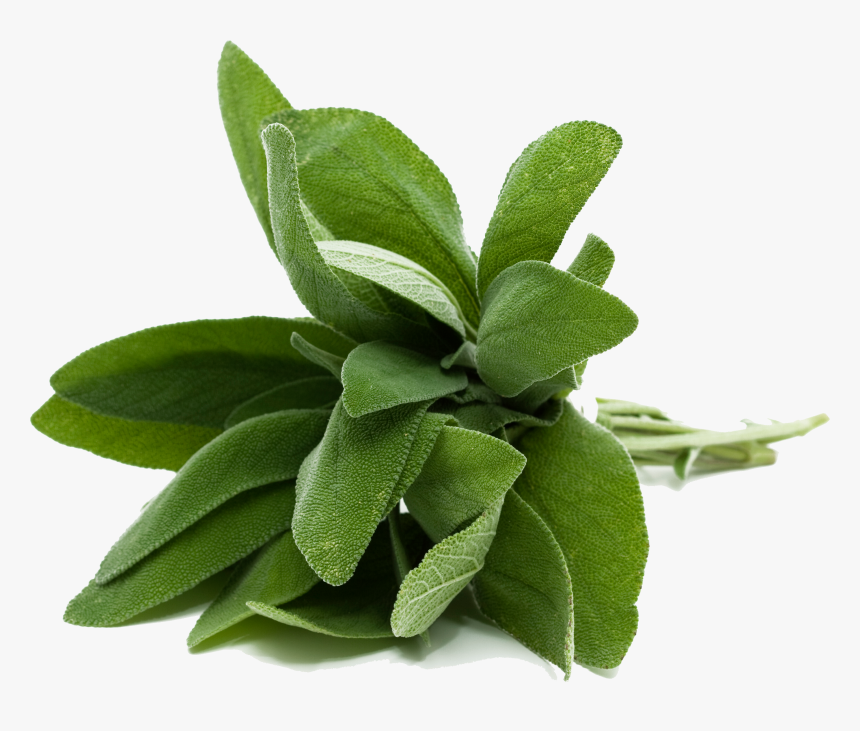 sage